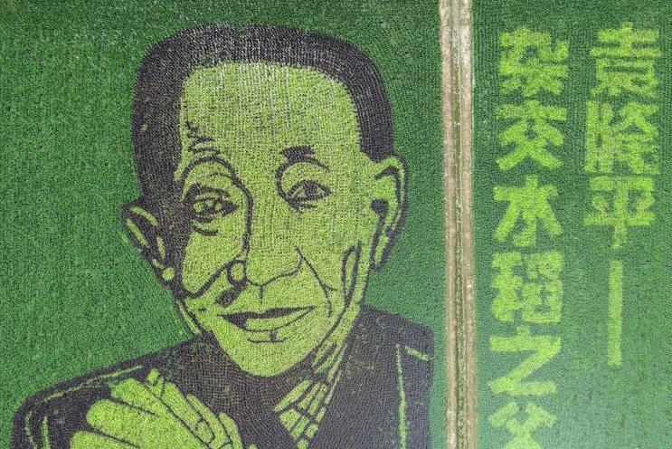 袁隆平爺爺?shù)牡咎锂?>
     <p>袁隆平爺爺?shù)牡咎锂?/p>
</a><a href=