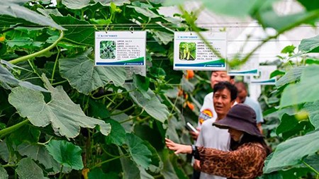 空間站與“卡脖子”，中國在警醒中爭取“逆襲